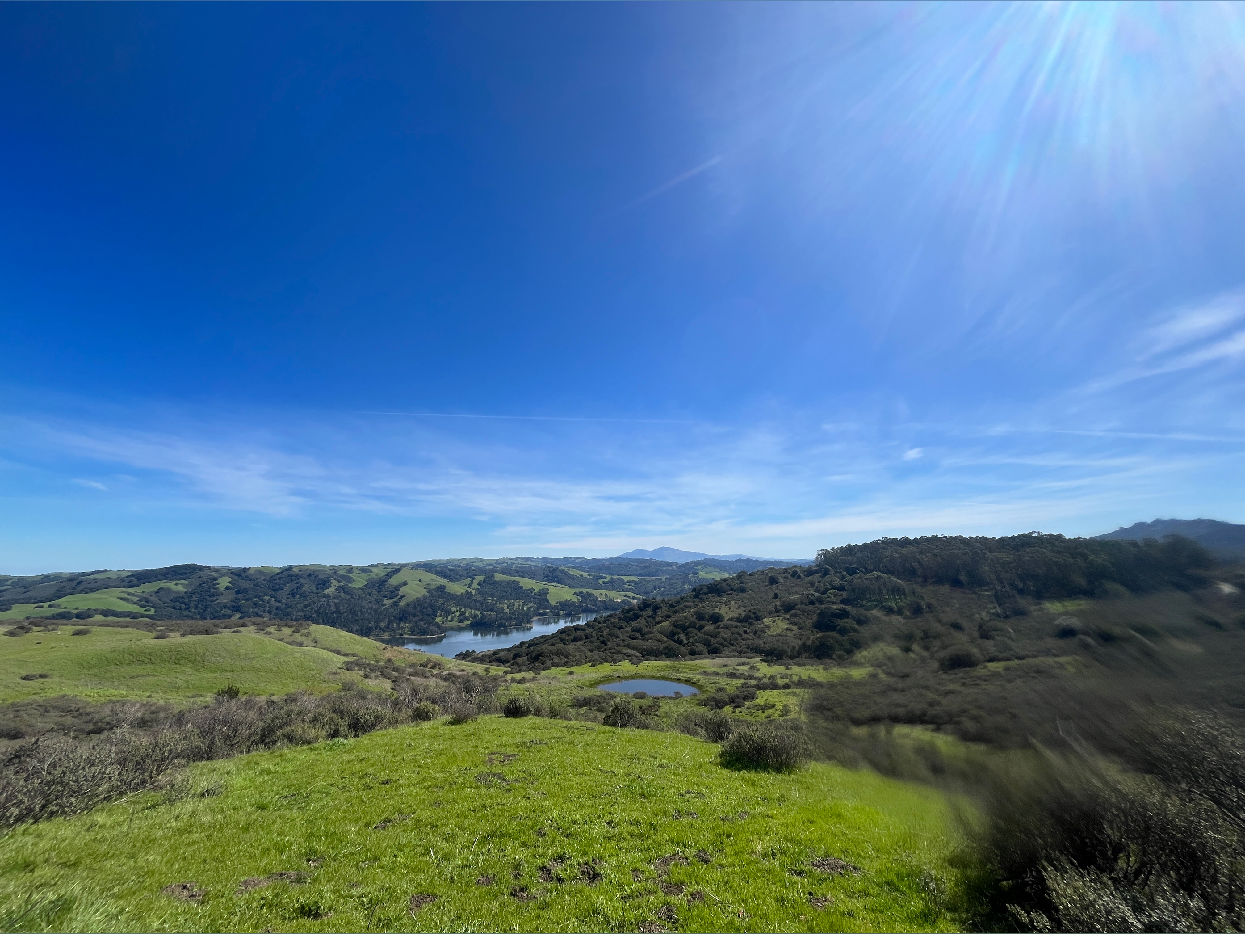 veganspaces OnlyFans header