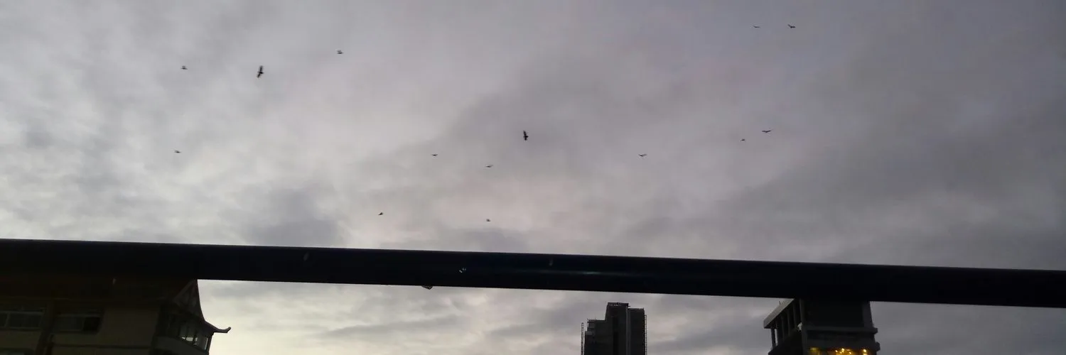 Manuel Vega Orellana OnlyFans header