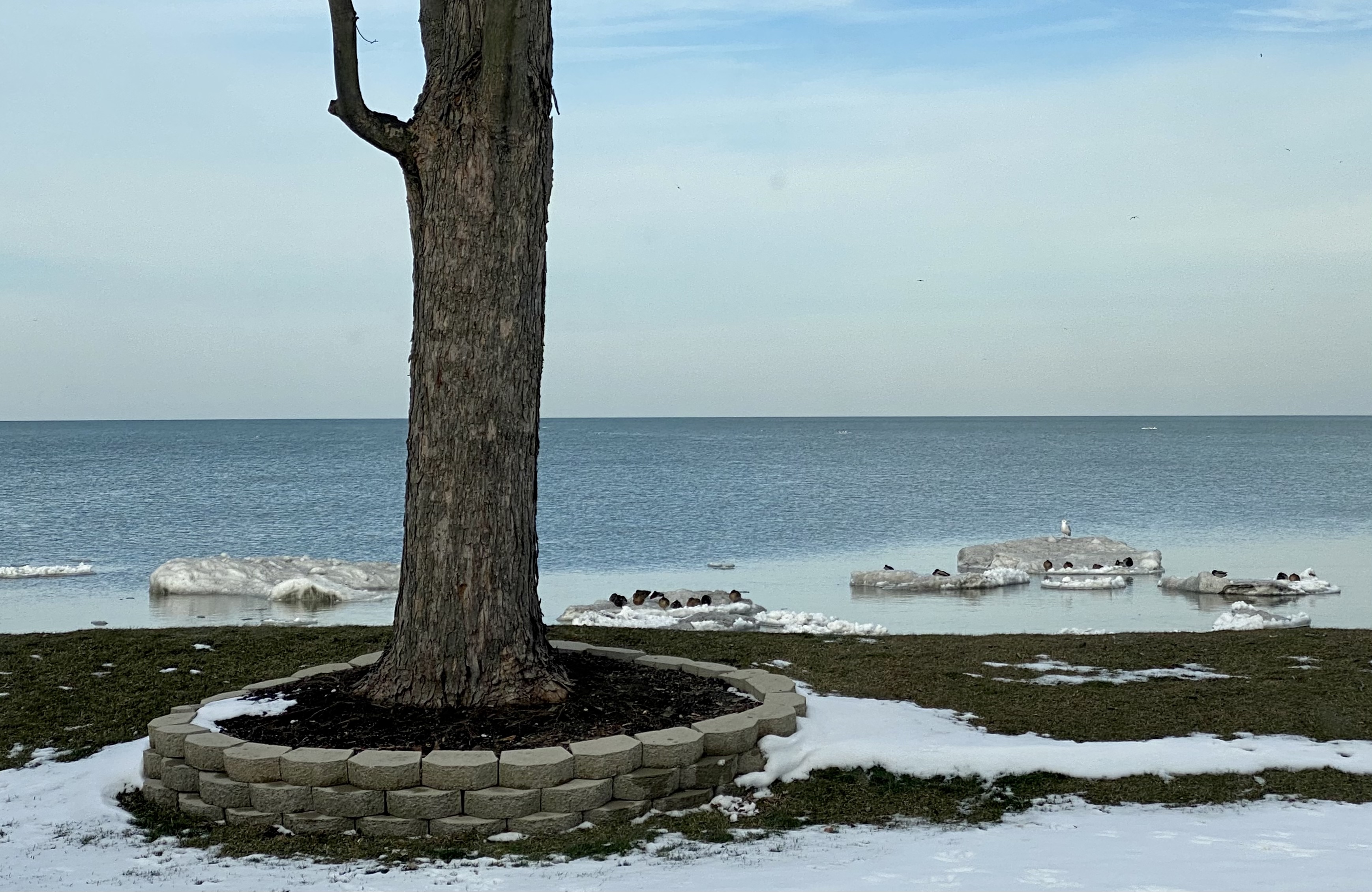 Chris OnlyFans header