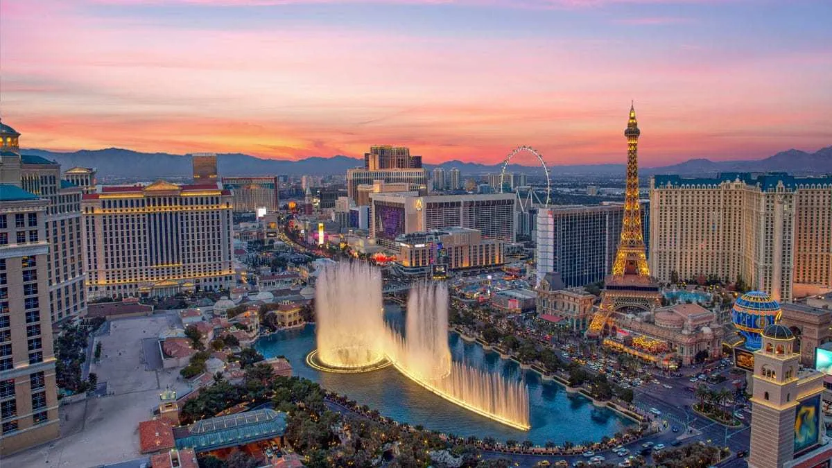 LV couple OnlyFans header