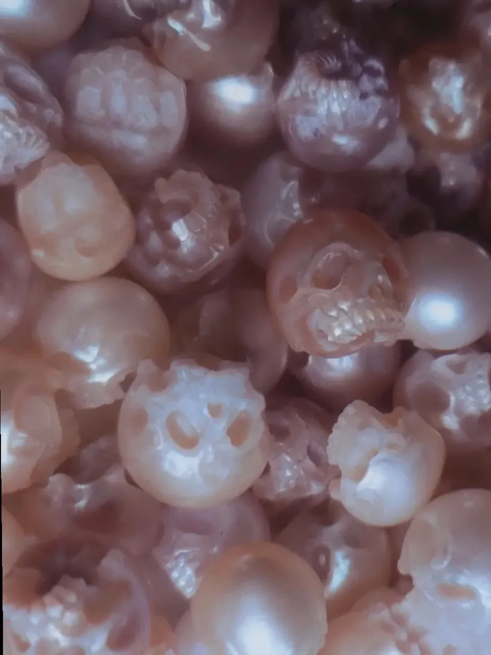 Jordan Paras OnlyFans header