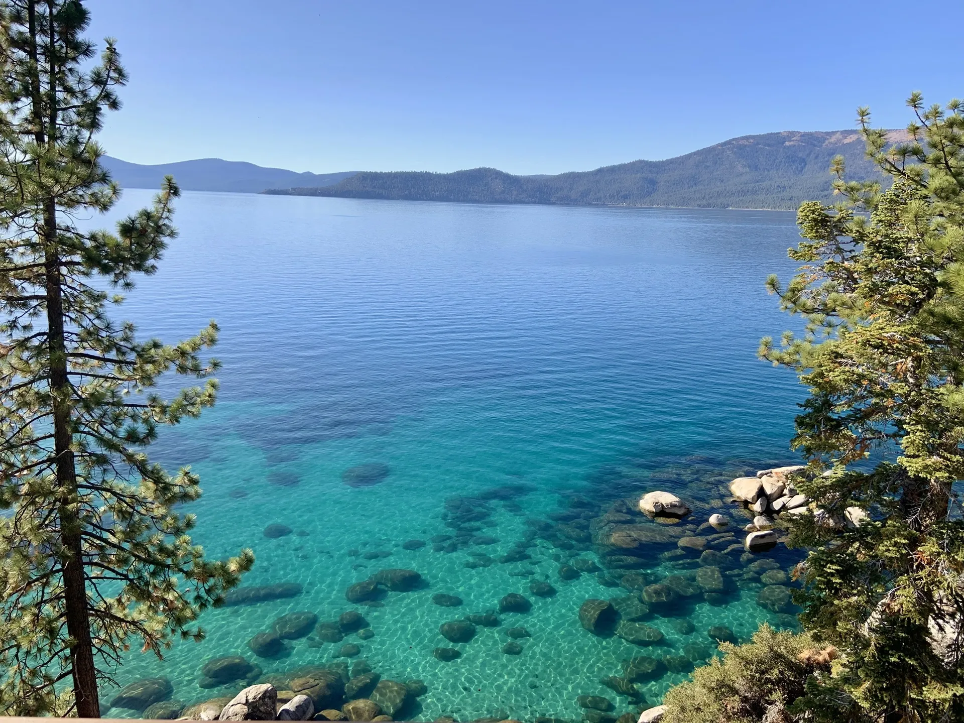 Papi_DL_slut OnlyFans header