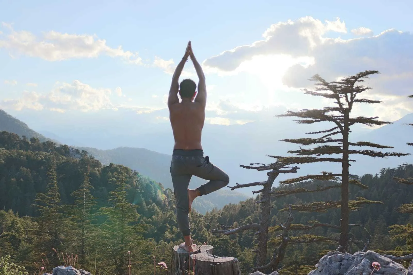 Vegbunny OnlyFans header