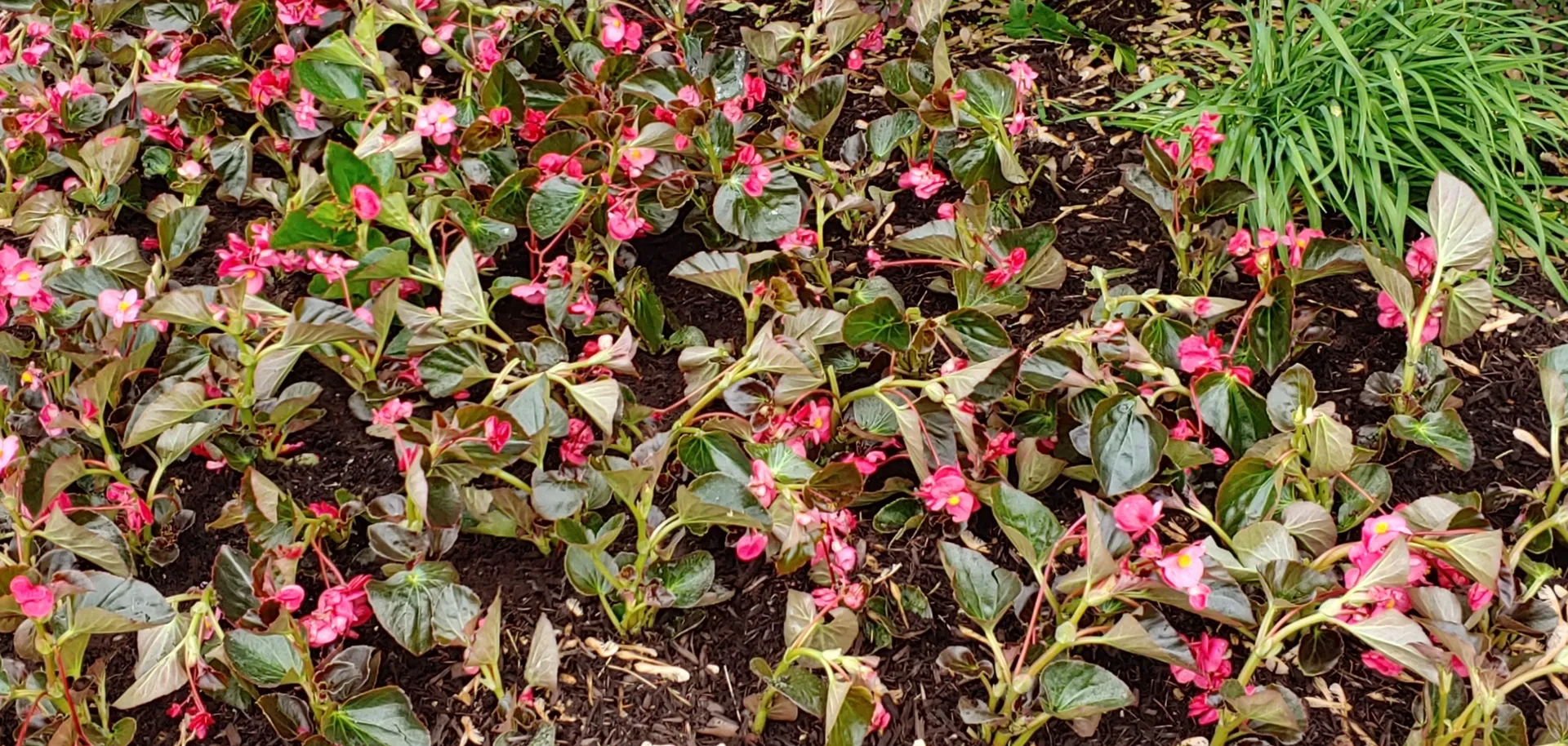 Chase 👷🏼‍♂️ OnlyFans header