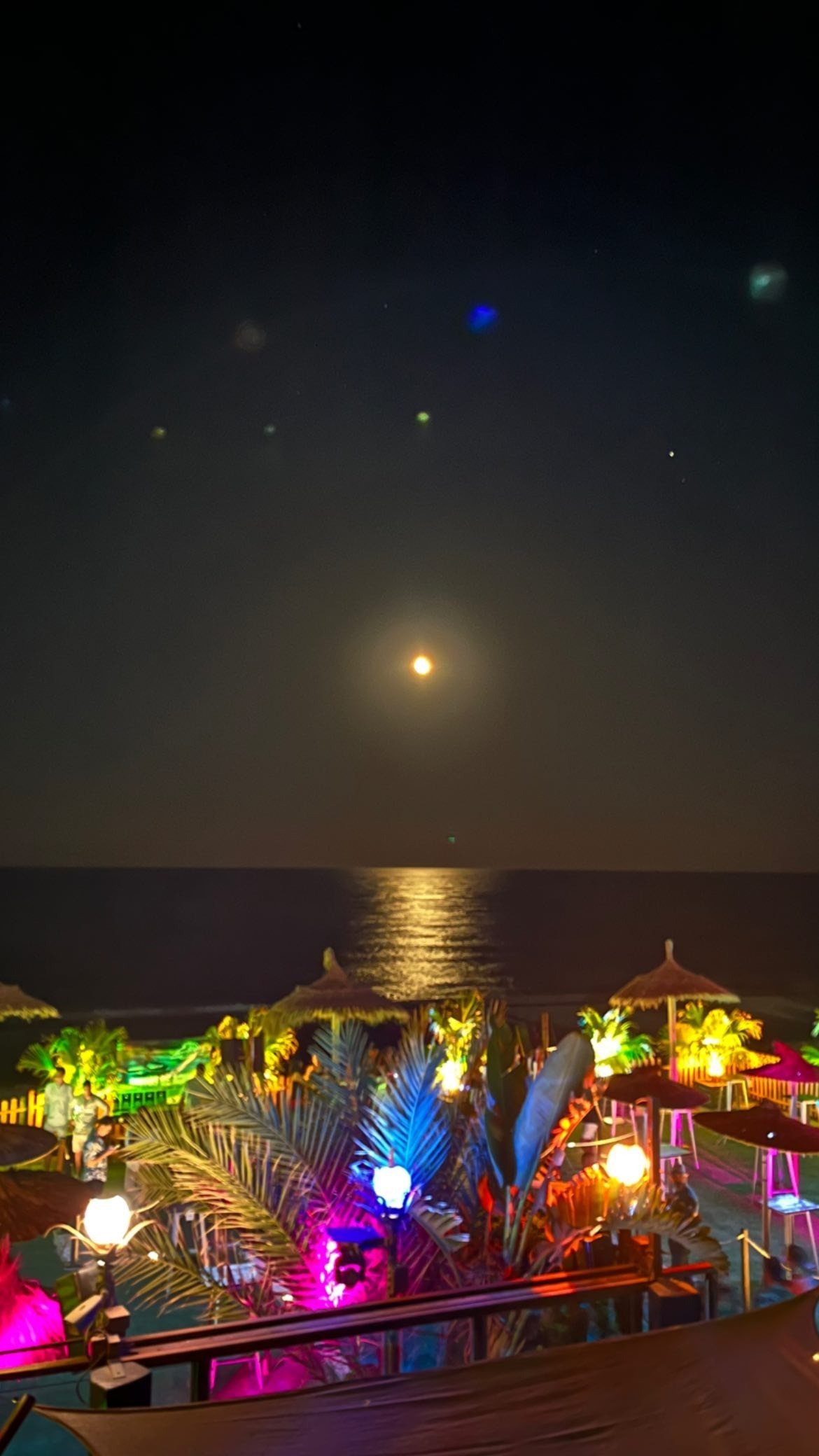 Velina OnlyFans header