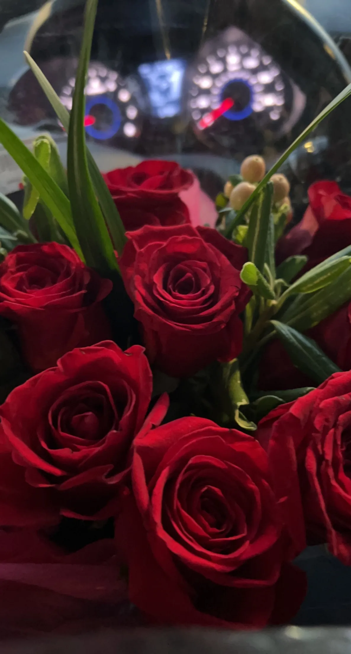 Vella_babes OnlyFans header