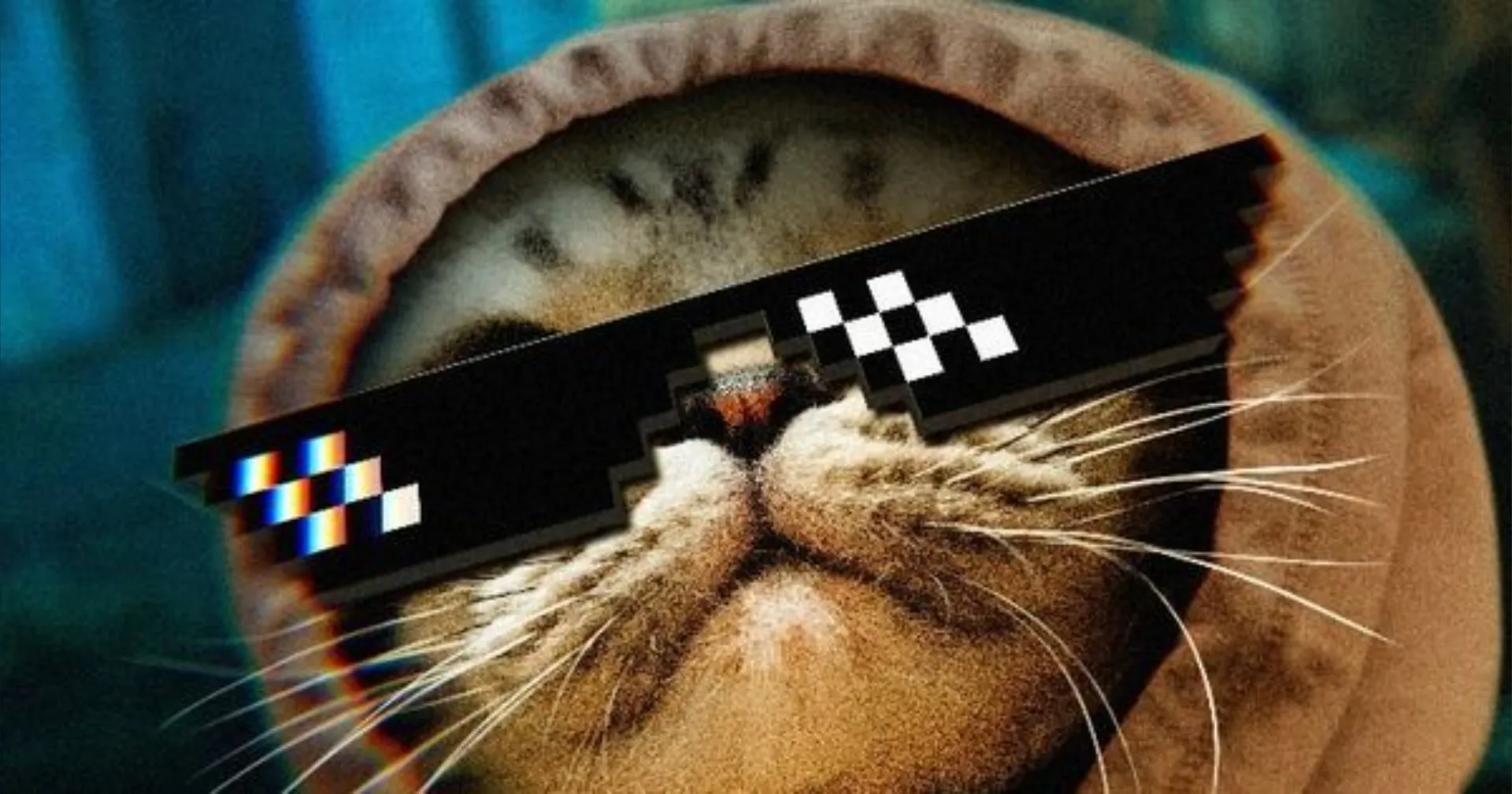 Vella OnlyFans header