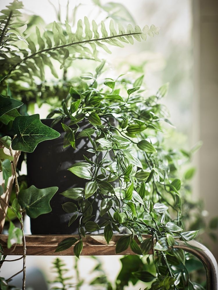 D✨ OnlyFans header