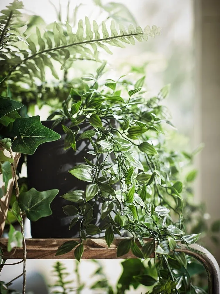 D✨ OnlyFans header