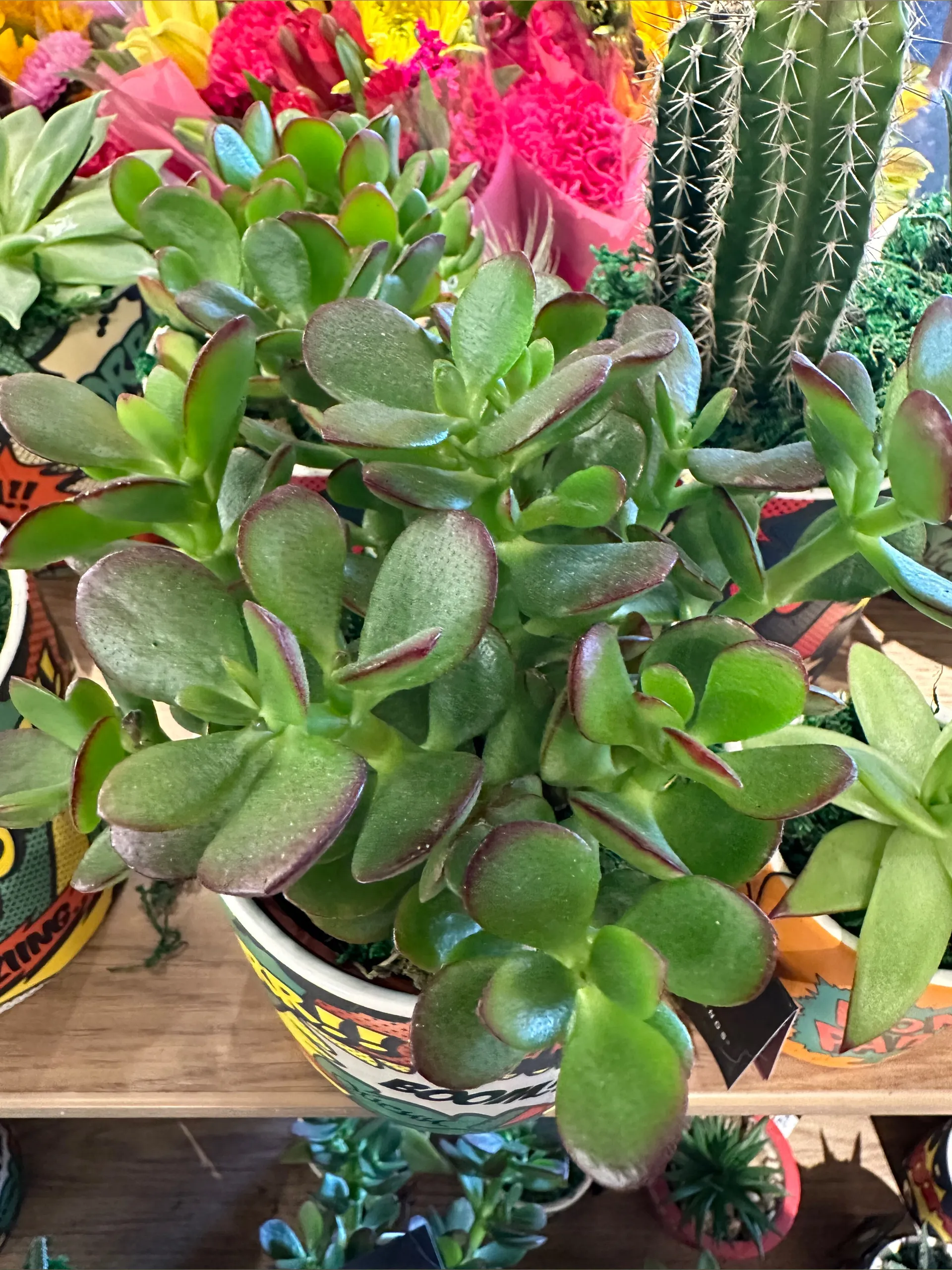 Velmaskooop OnlyFans header