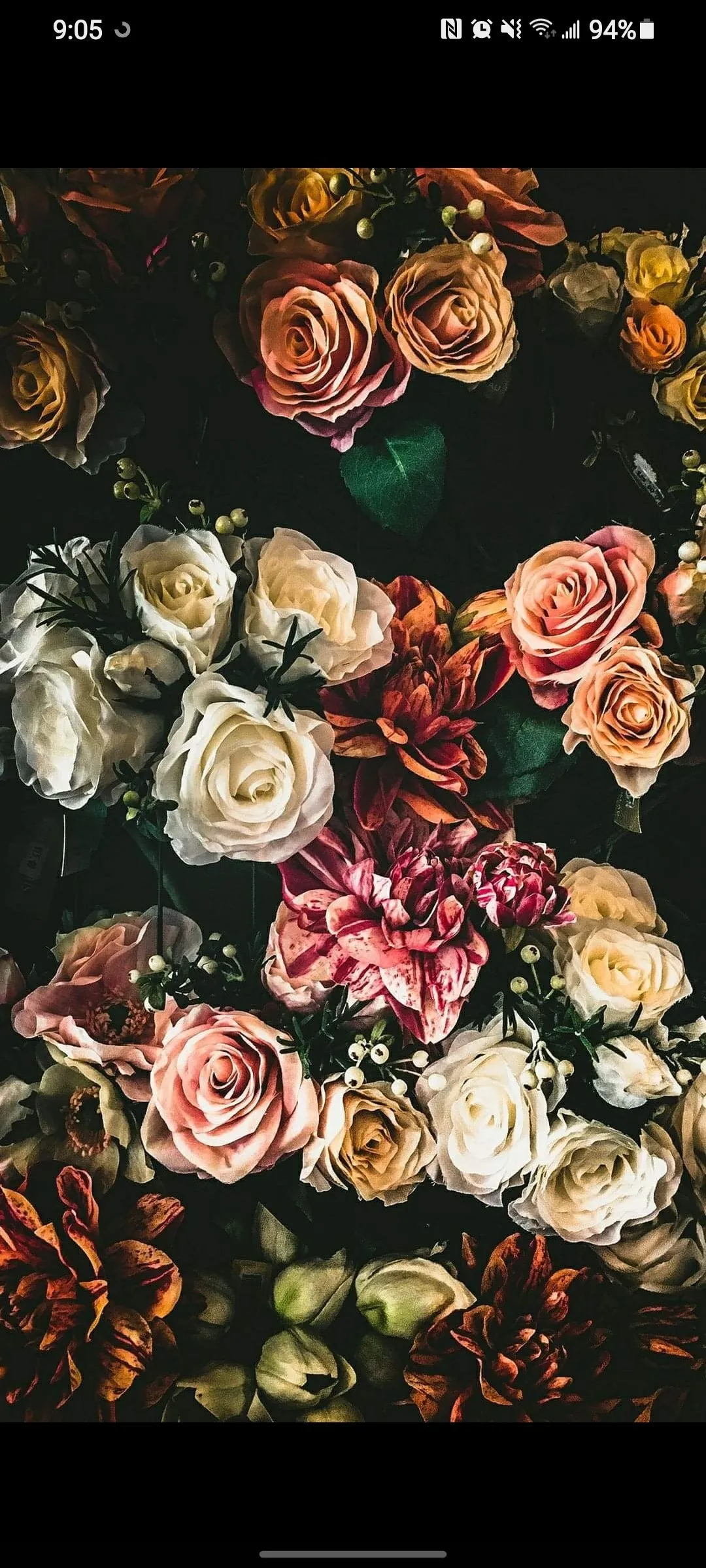 Velma Sweets 😘 OnlyFans header