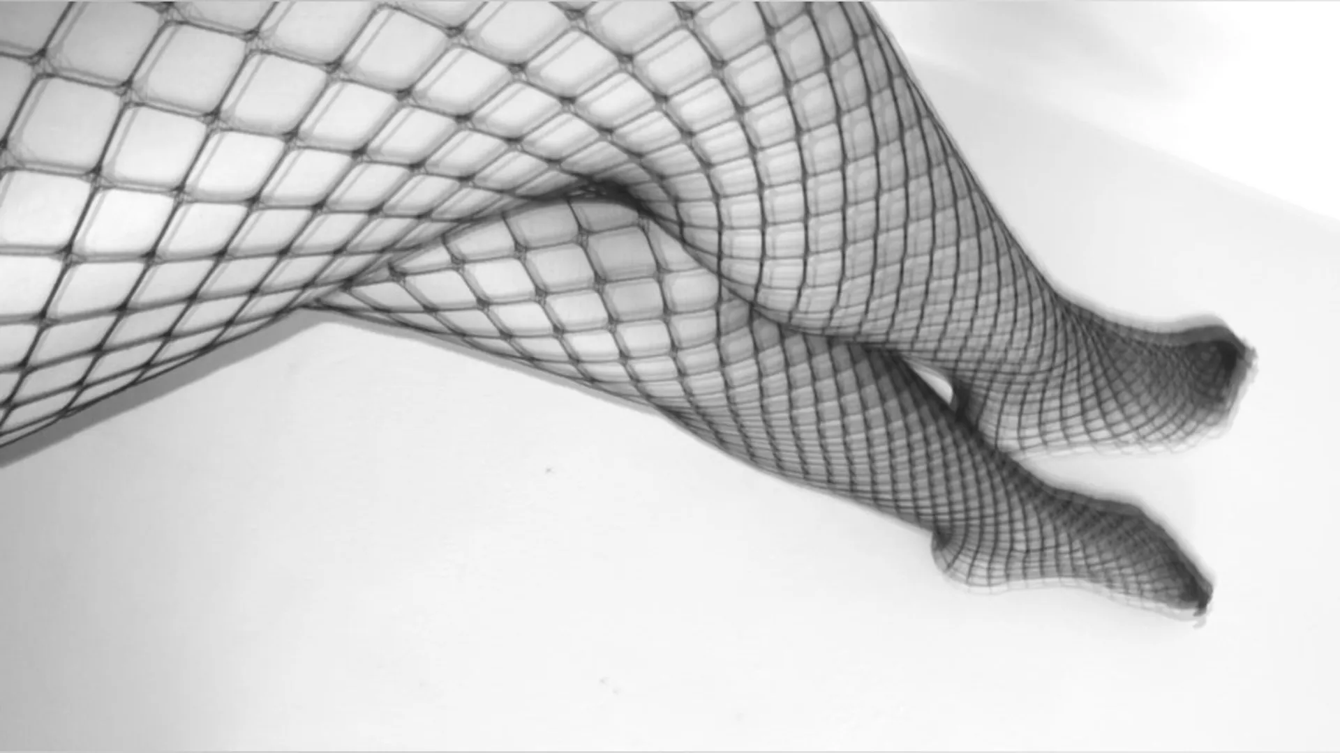 🦋🦋🦋 OnlyFans header