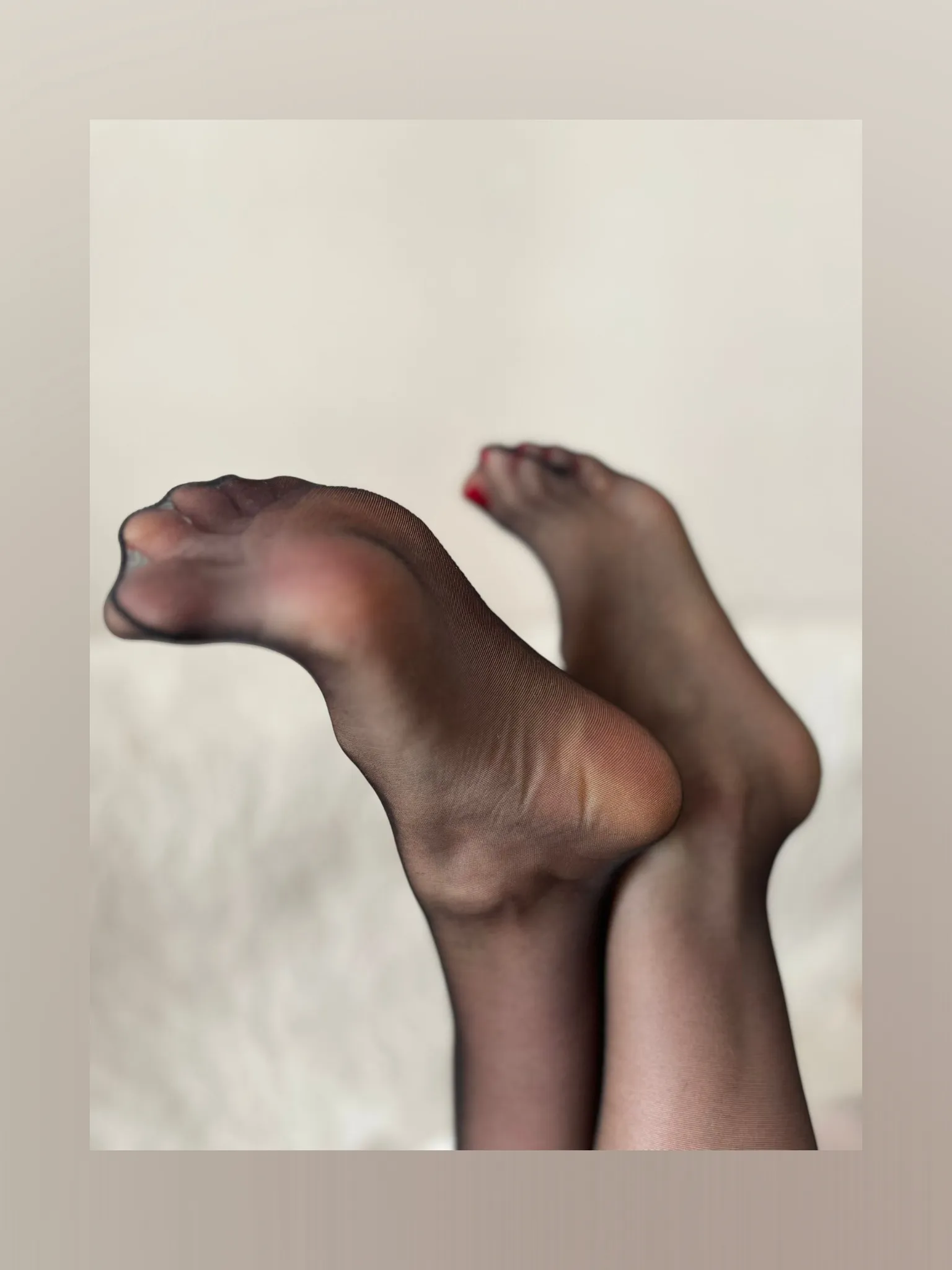 VelvetFeet_Bunny Free OnlyFans header