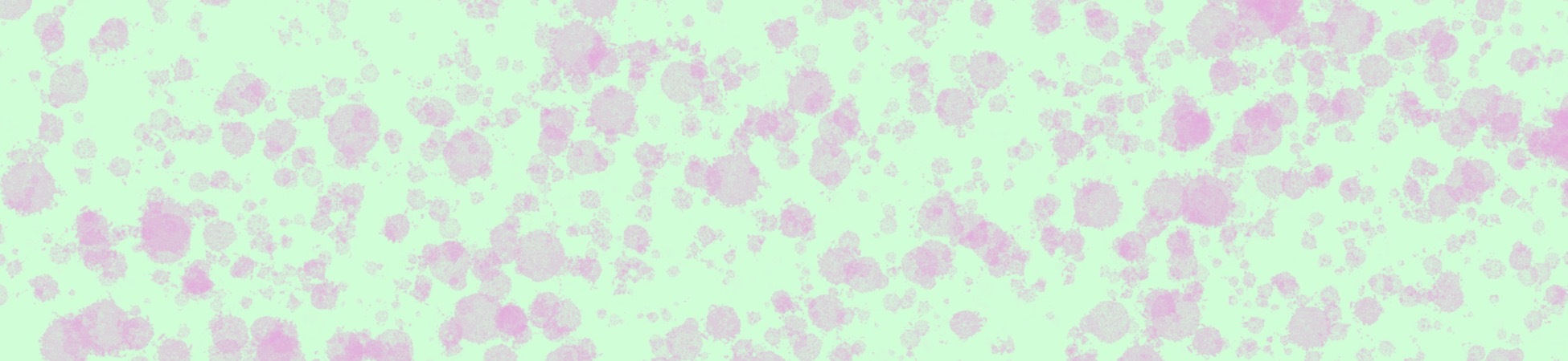 Velvet OnlyFans header