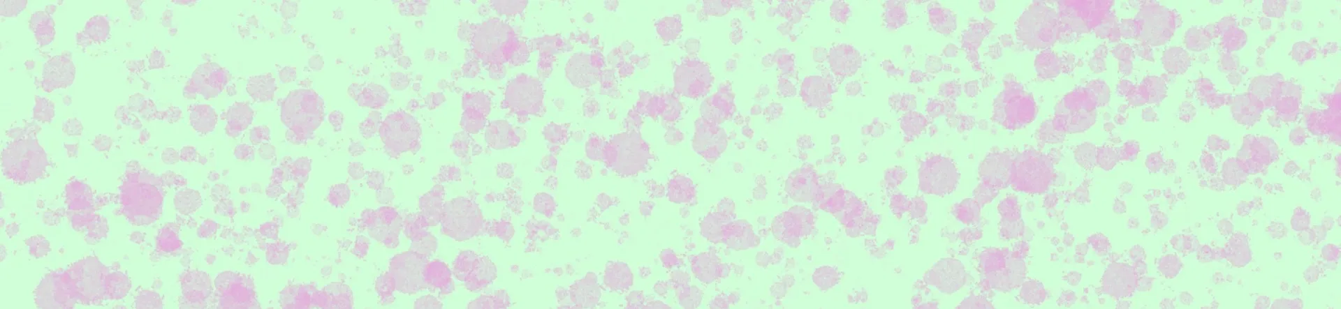 Velvet OnlyFans header