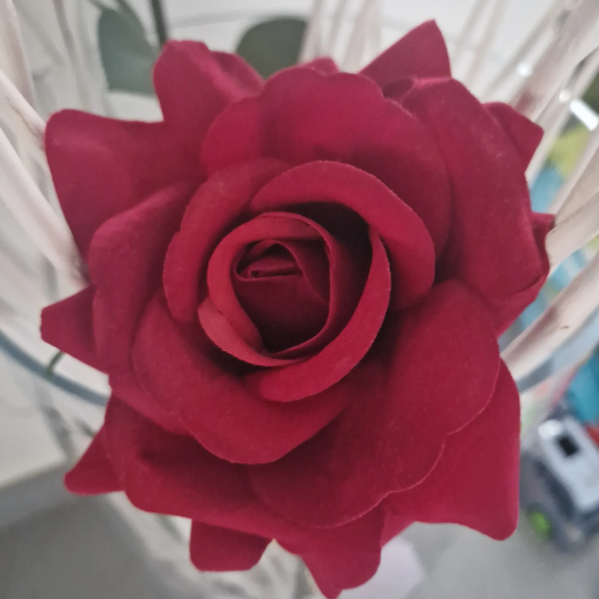 VelvetSteps OnlyFans header