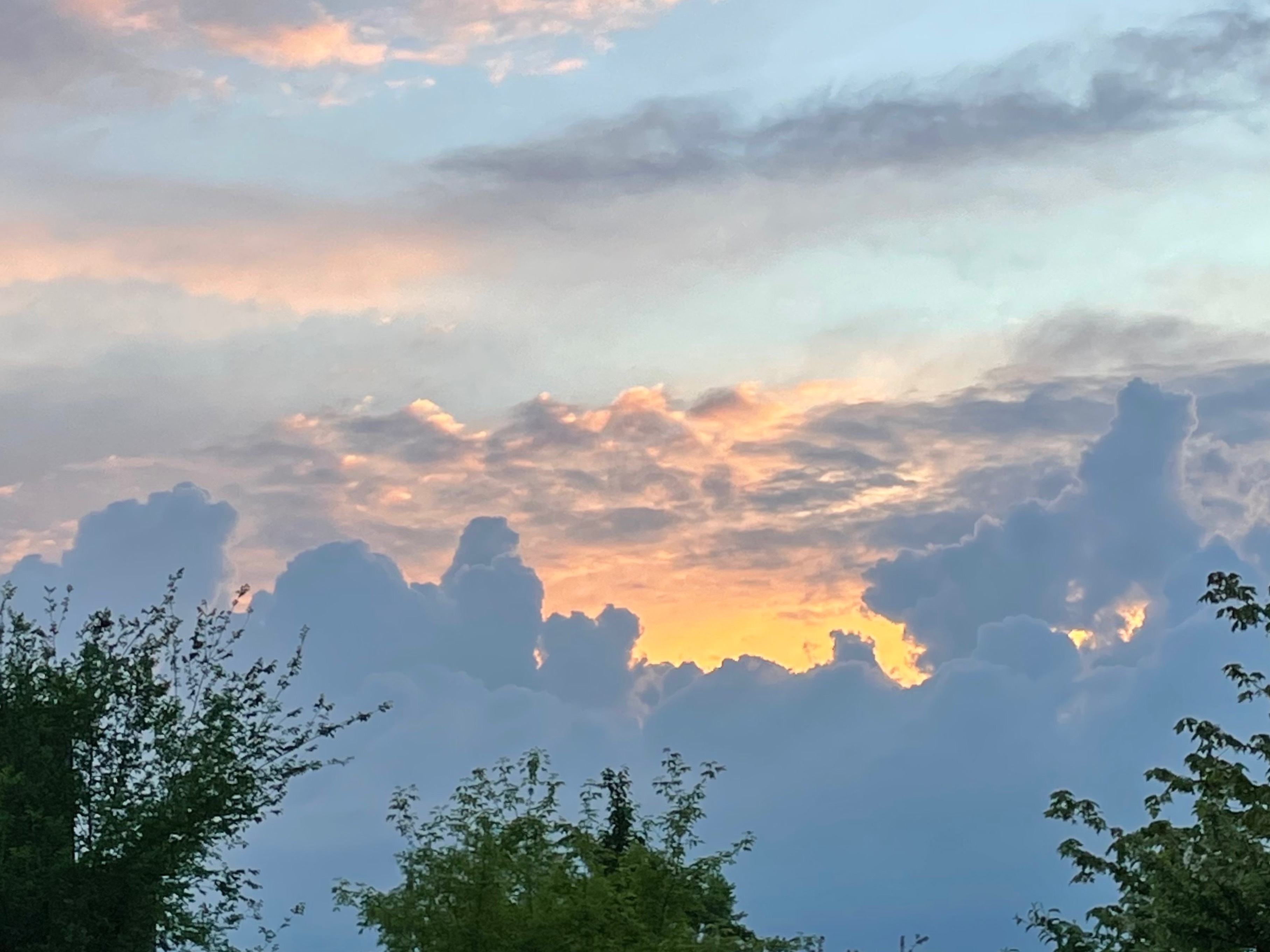 h 🍒 OnlyFans header