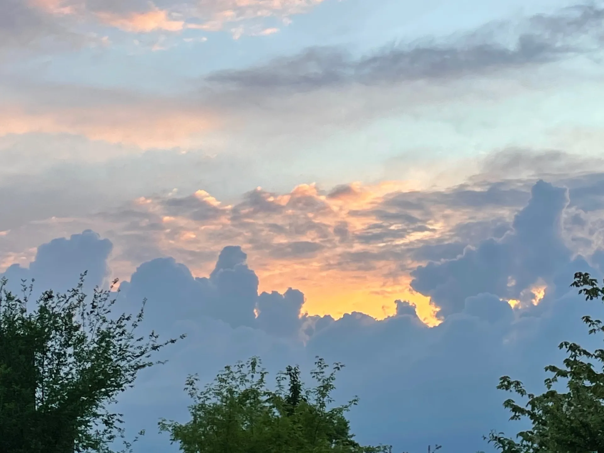 h 🍒 OnlyFans header