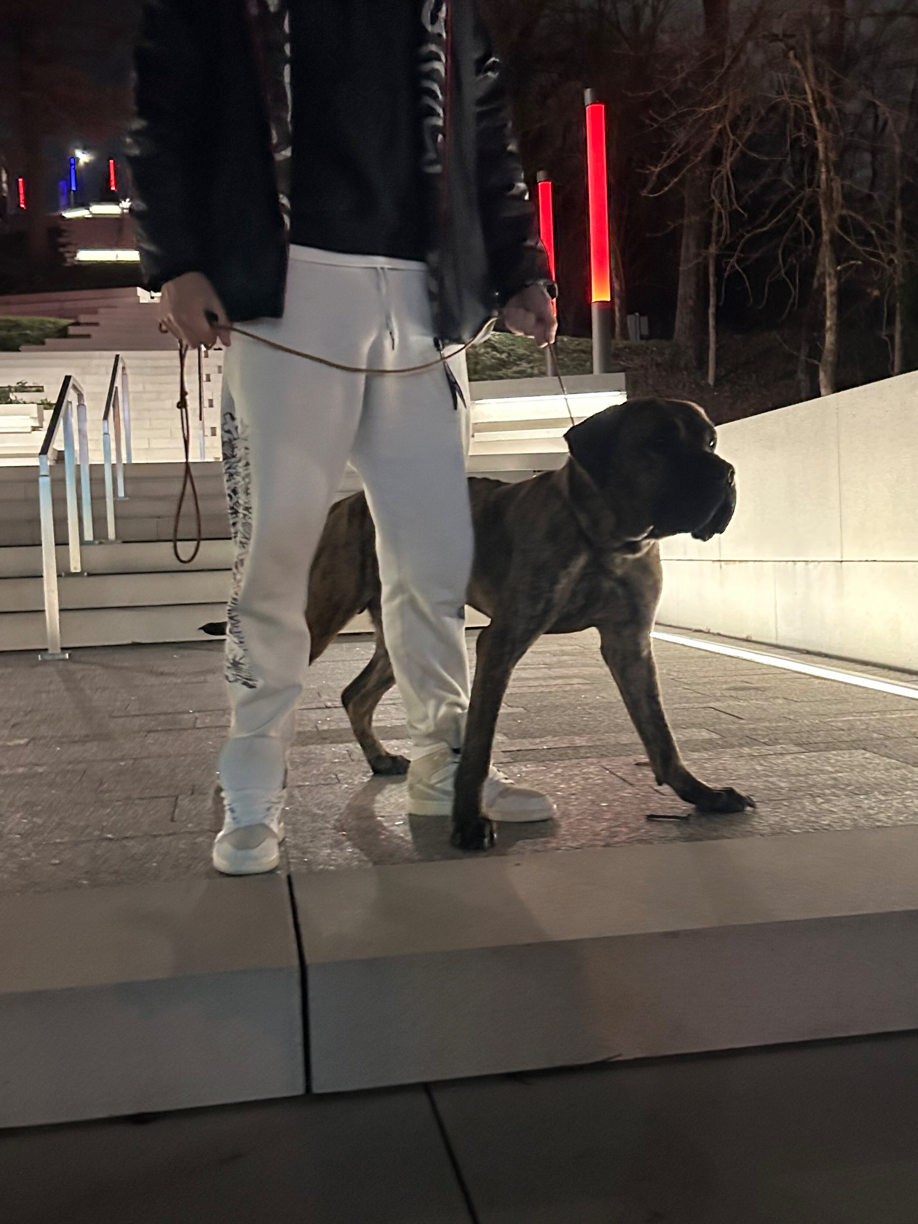 VELVET OnlyFans header