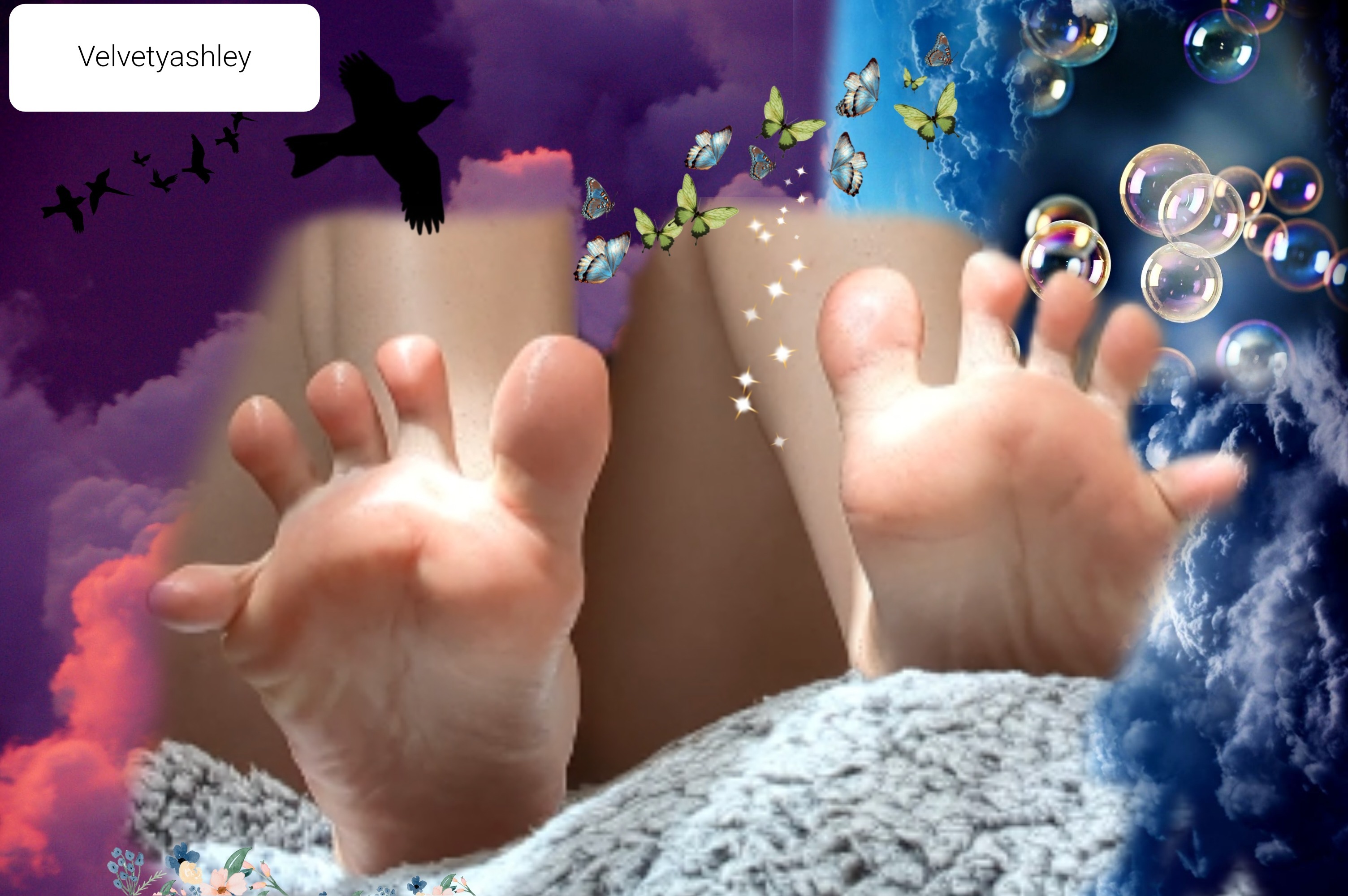 Velvety Ashley OnlyFans header