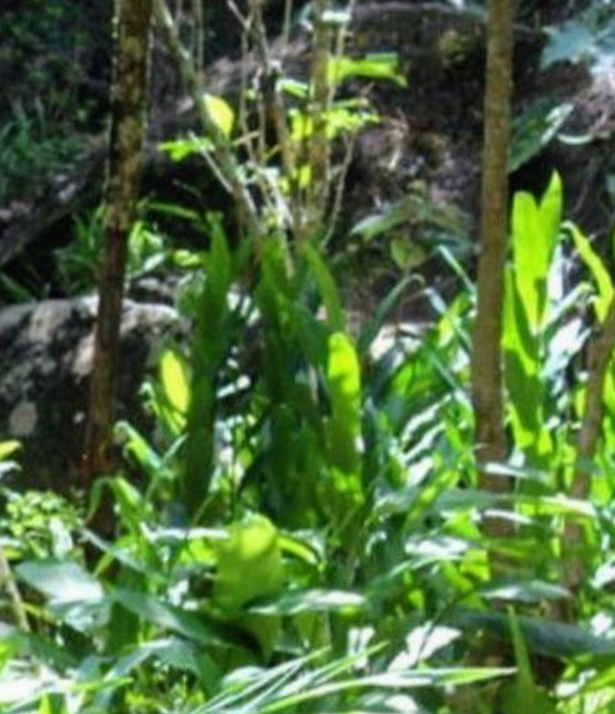 Rider OnlyFans header