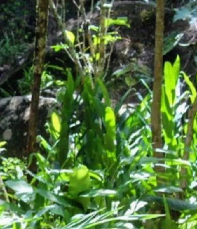 Rider OnlyFans header