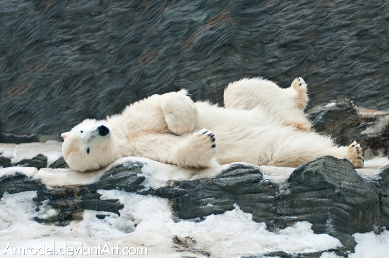 Vendari OnlyFans header