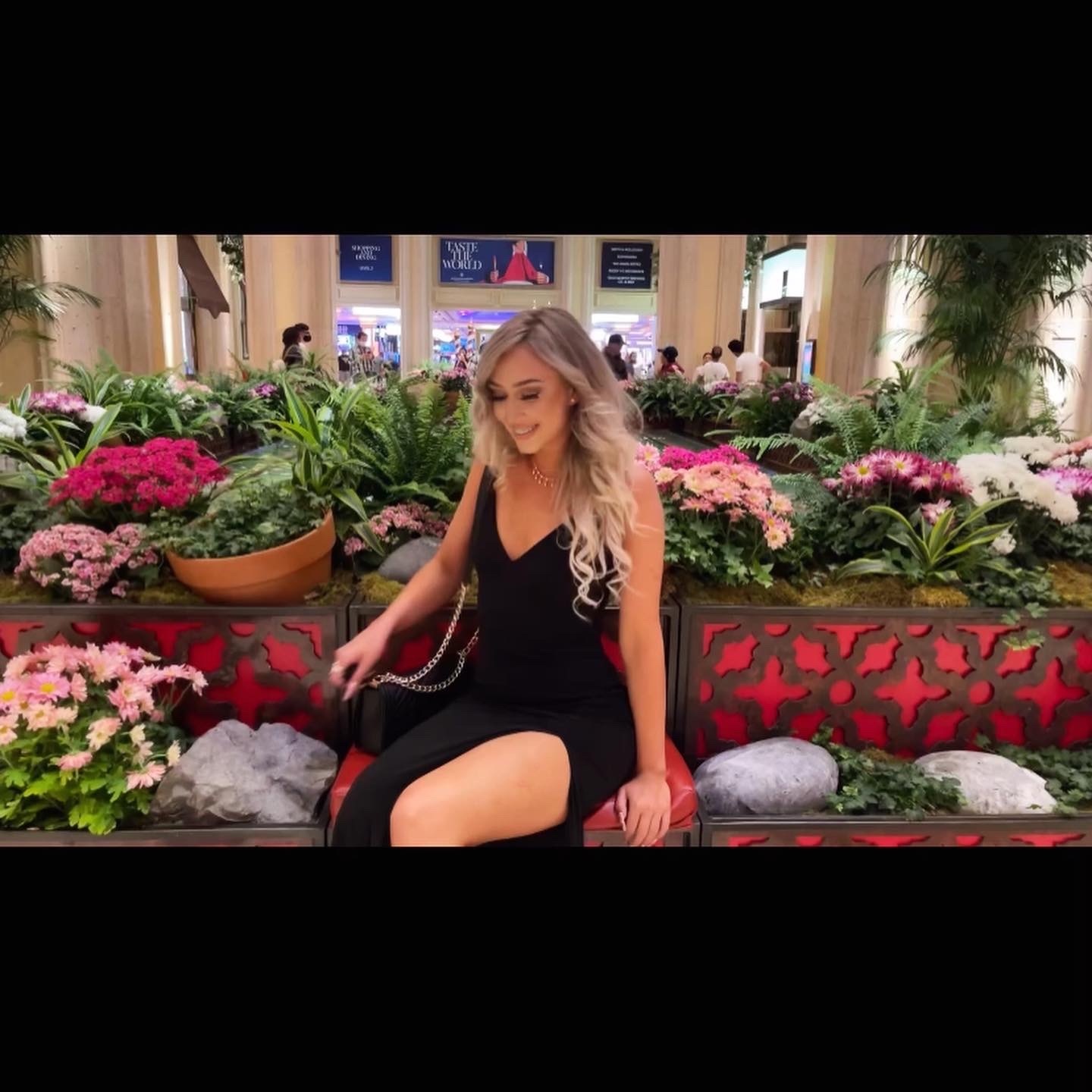 Venea🌹 OnlyFans header