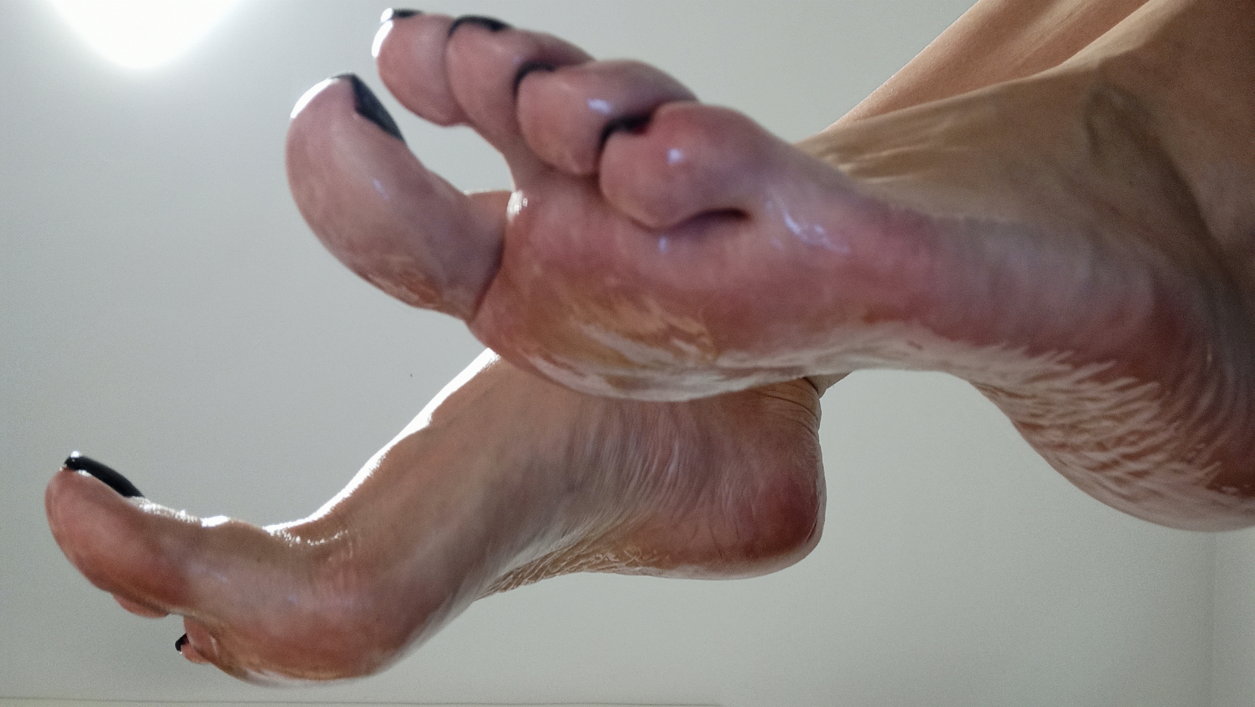Venera Paws OnlyFans header
