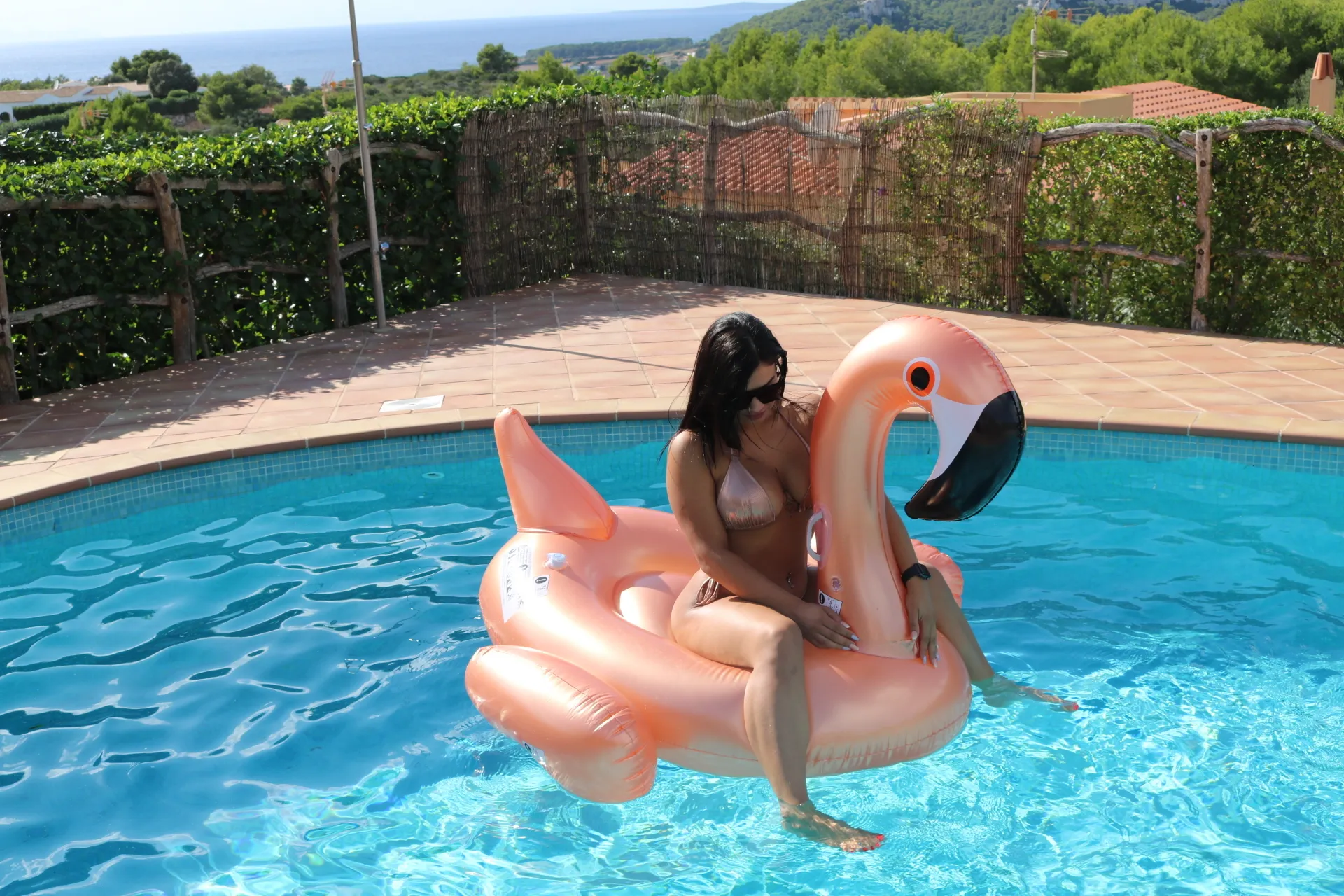 Venis OnlyFans header