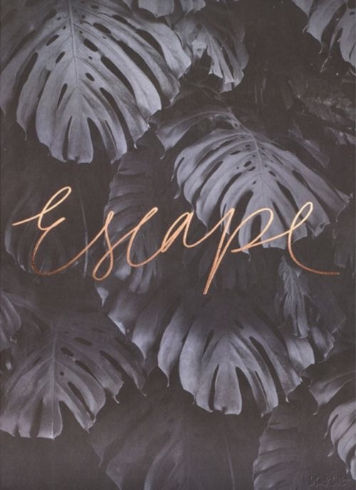 V E N O M A N G E L OnlyFans header