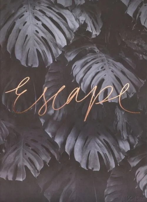 V E N O M A N G E L OnlyFans header