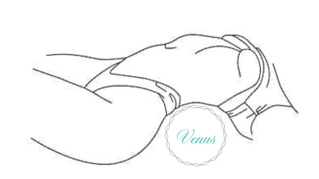 Venus Oficial OnlyFans header