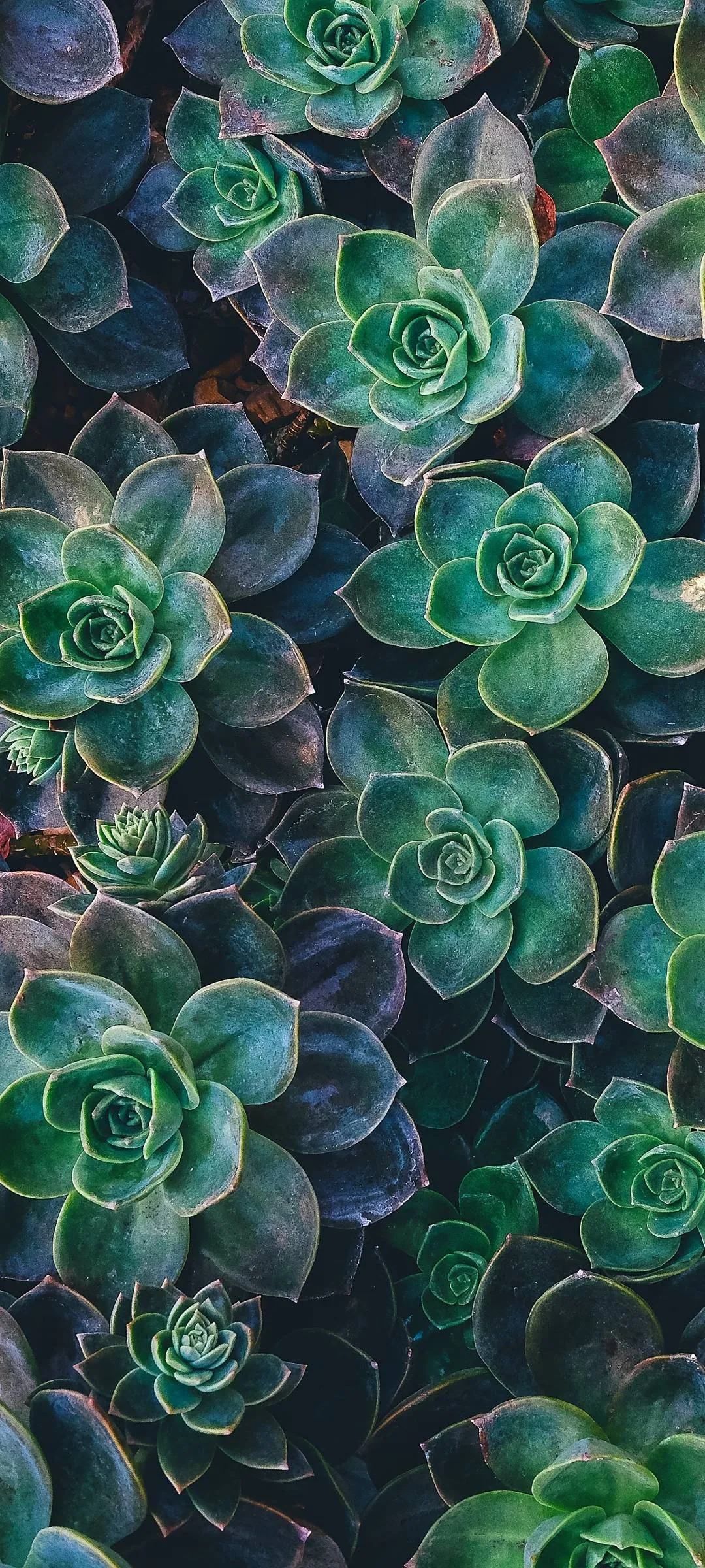 Ventful OnlyFans header