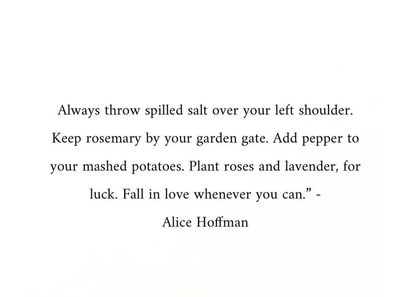 Venti Latte OnlyFans header