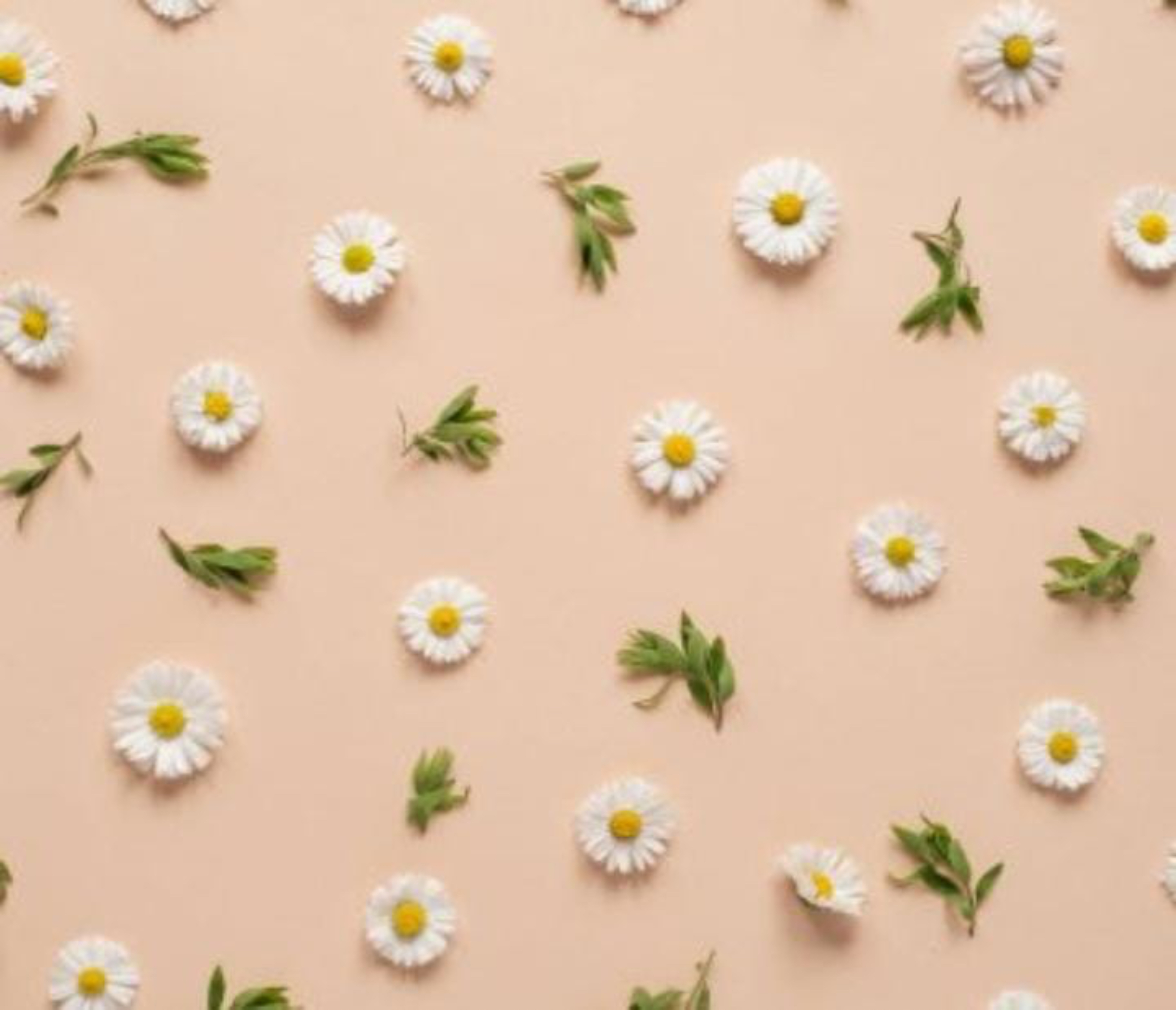 Venus OnlyFans header