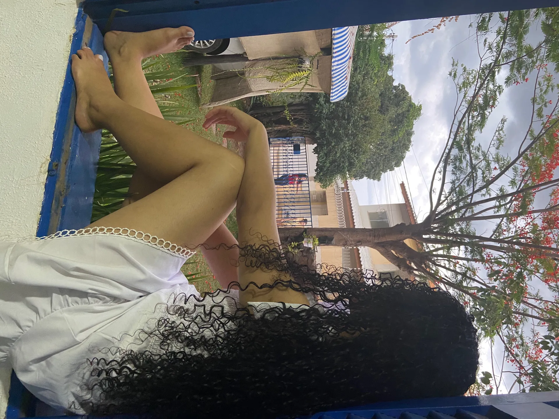 vênus Bahia cover