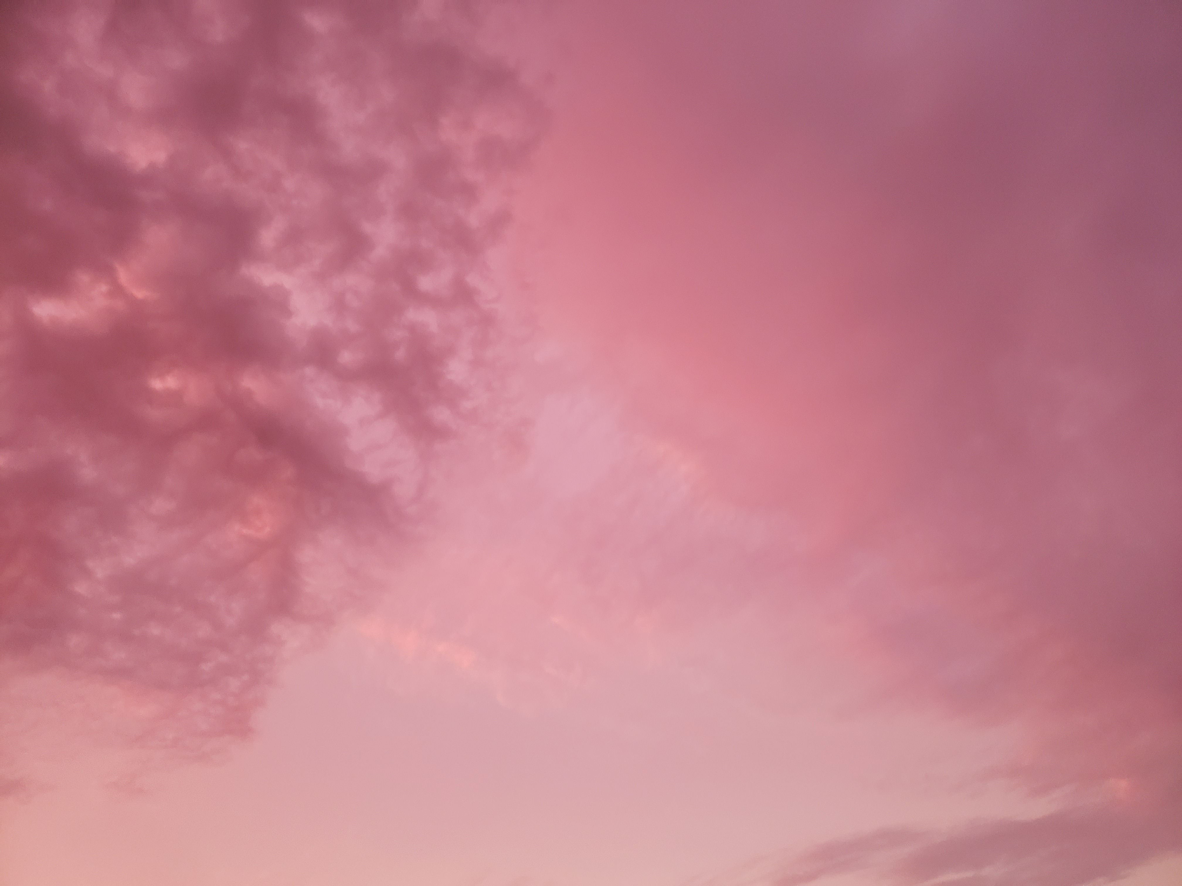 Venus OnlyFans header