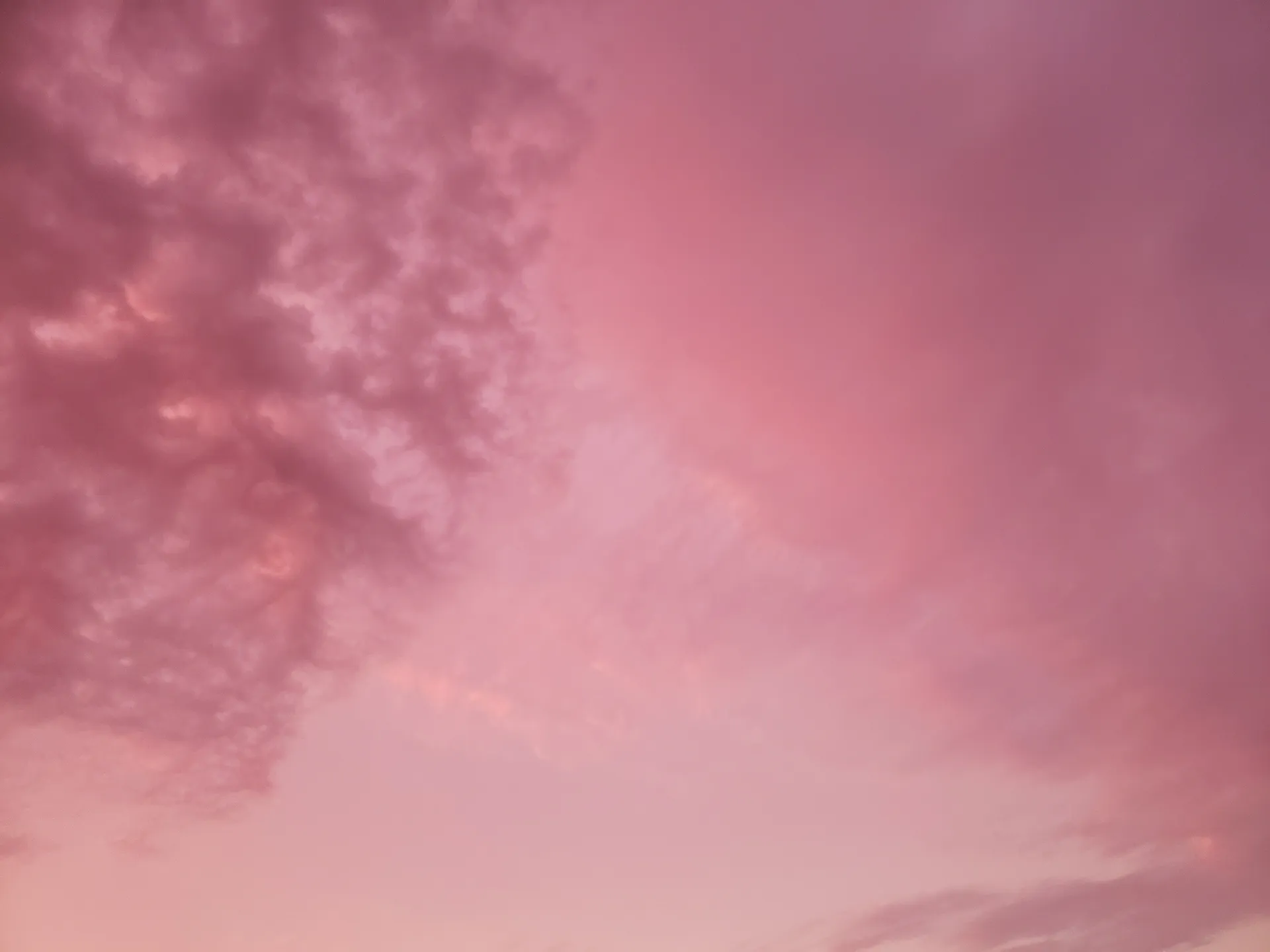 Venus OnlyFans header