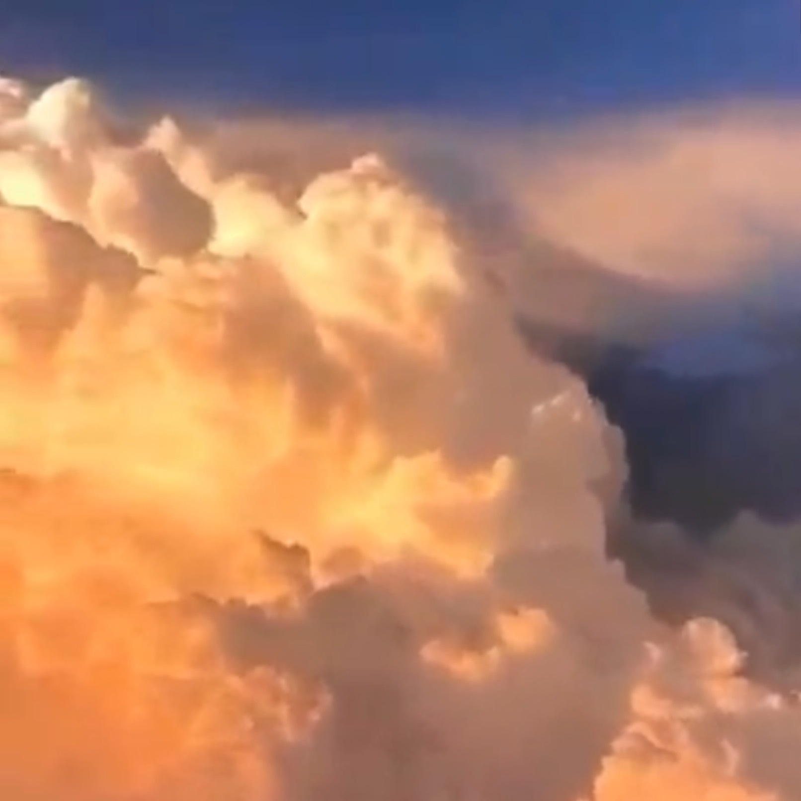 Venus OnlyFans header