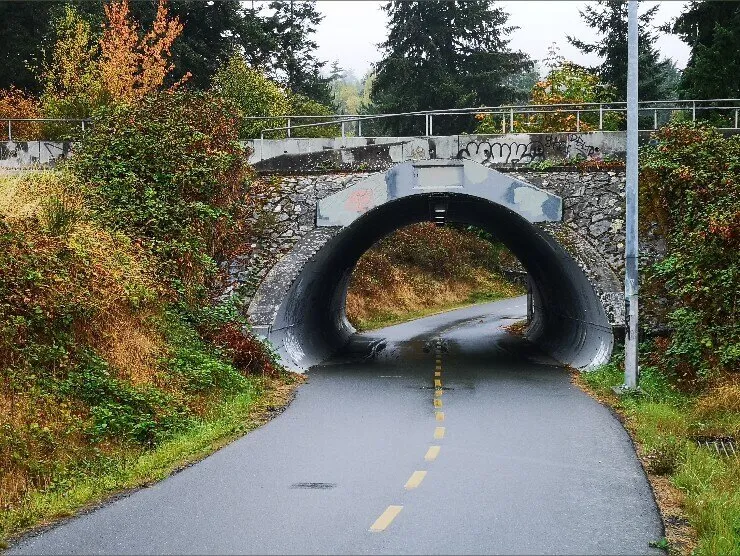 Venus Scales OnlyFans header