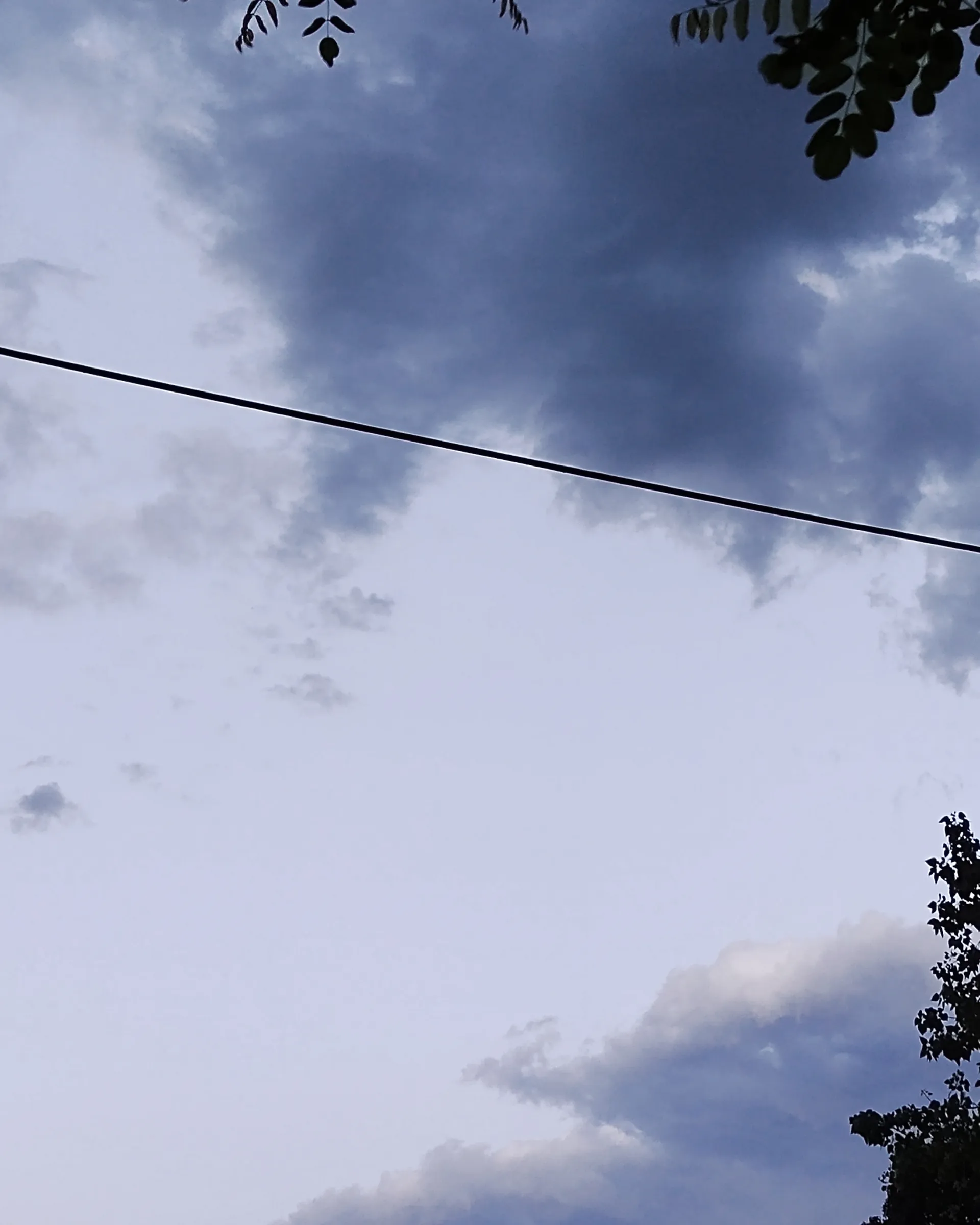 Venus OnlyFans header