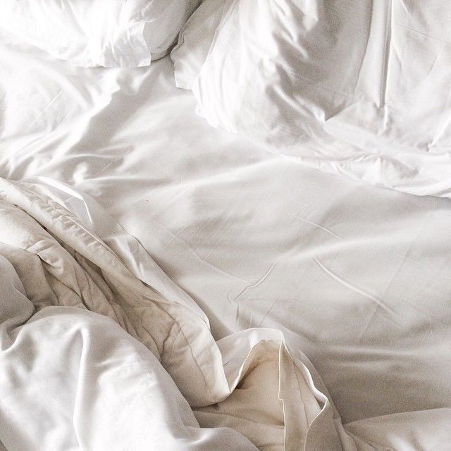 venus_xo OnlyFans header