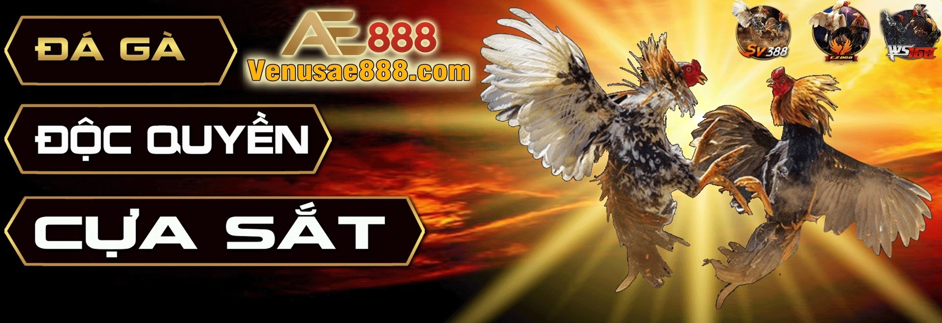 AE888 OnlyFans header