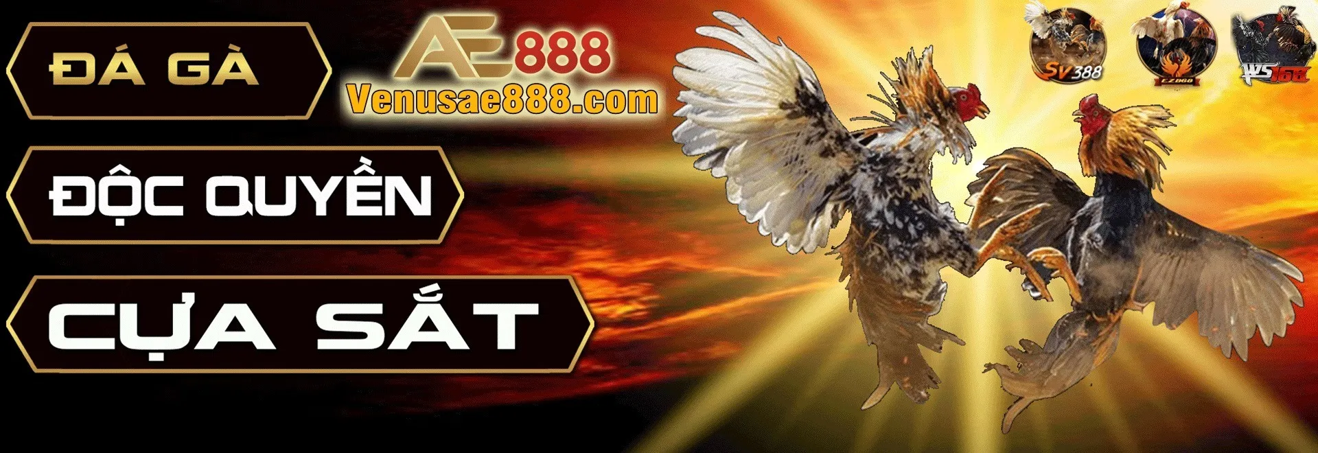 AE888 OnlyFans header