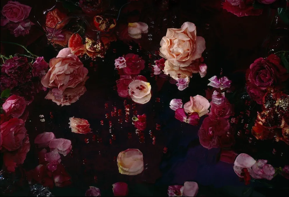 𝒜 𝒱𝑒𝓃𝓊𝓈 ♡ OnlyFans header