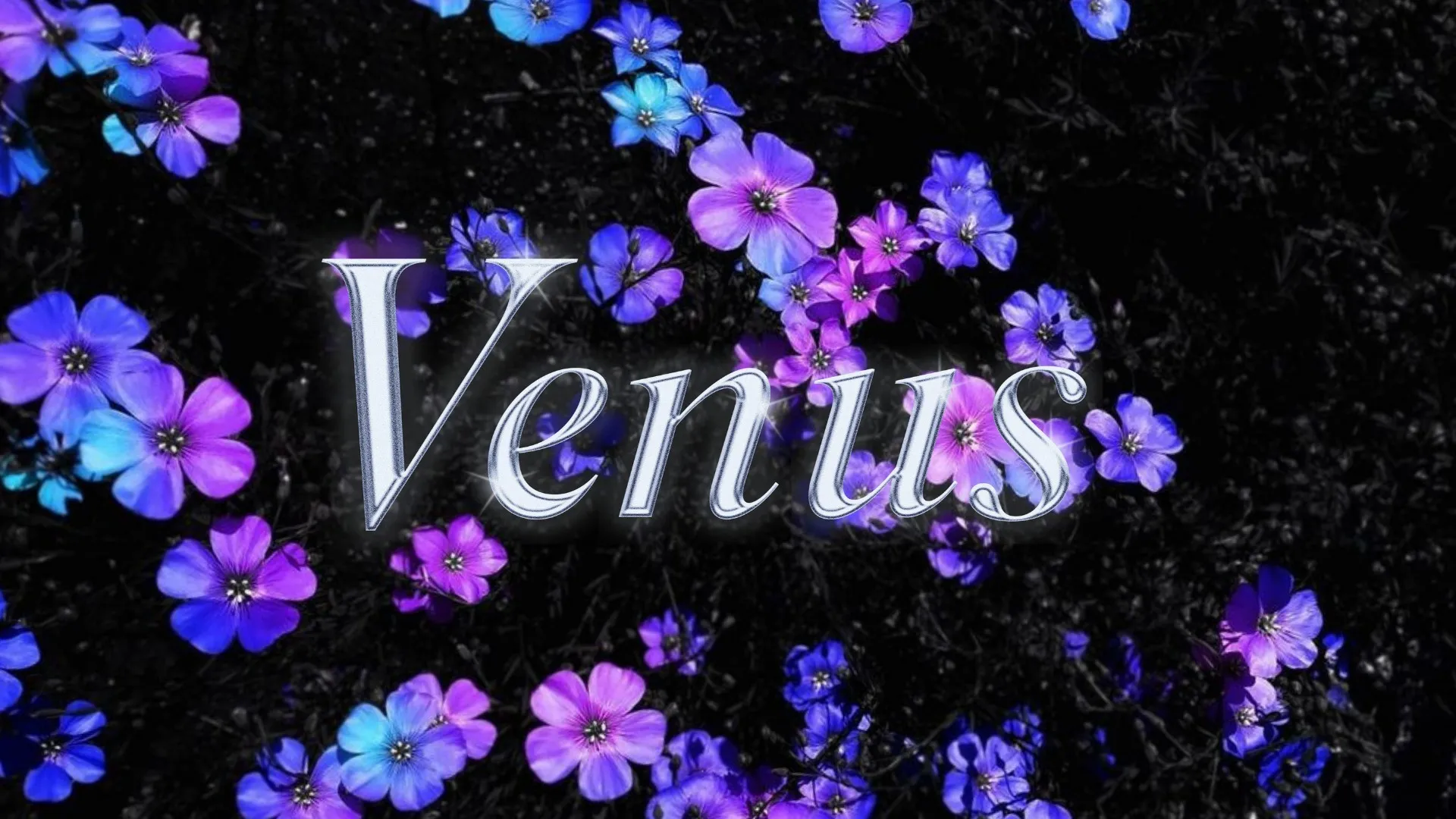 Venus Fantasy 🦋 OnlyFans header