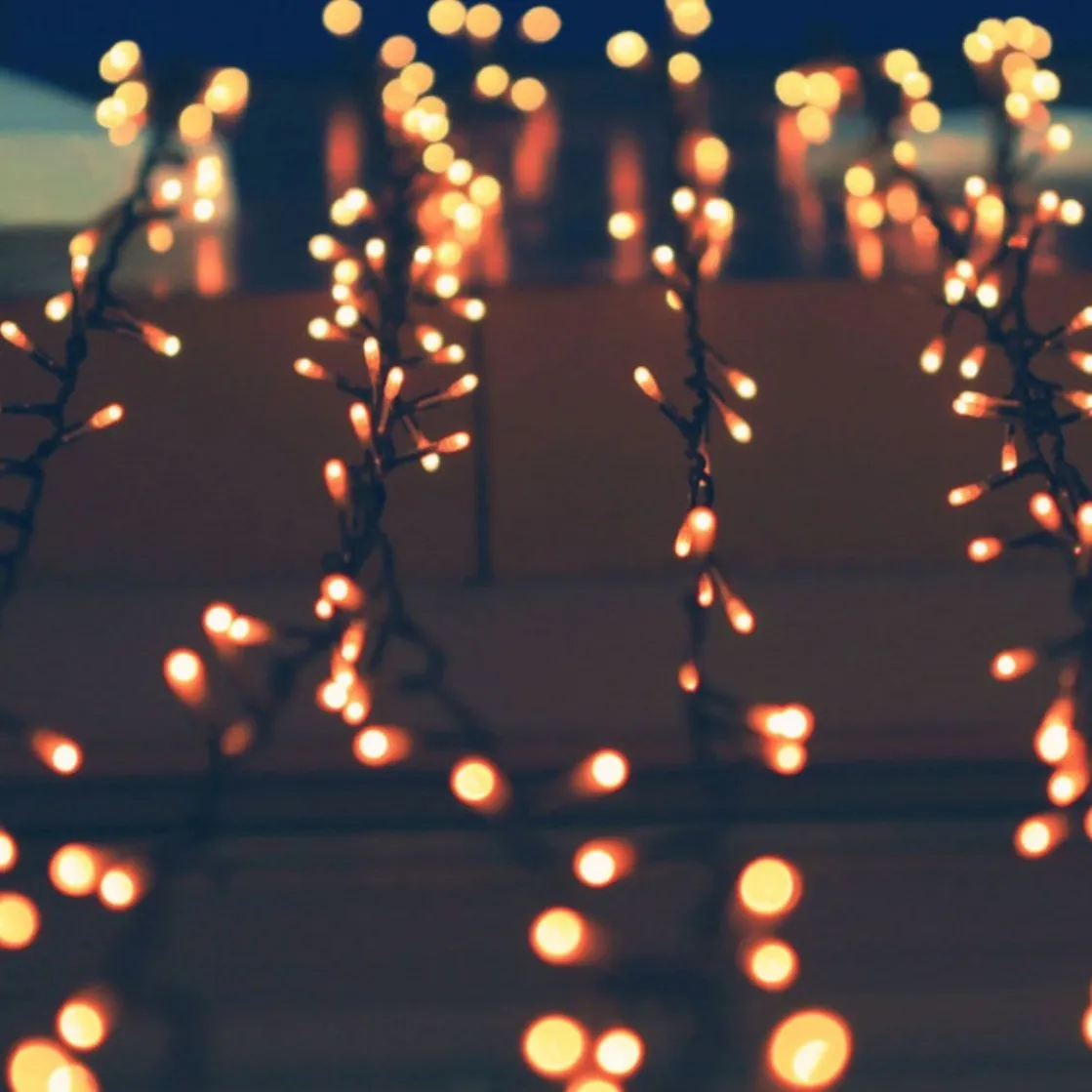 Ms. V OnlyFans header