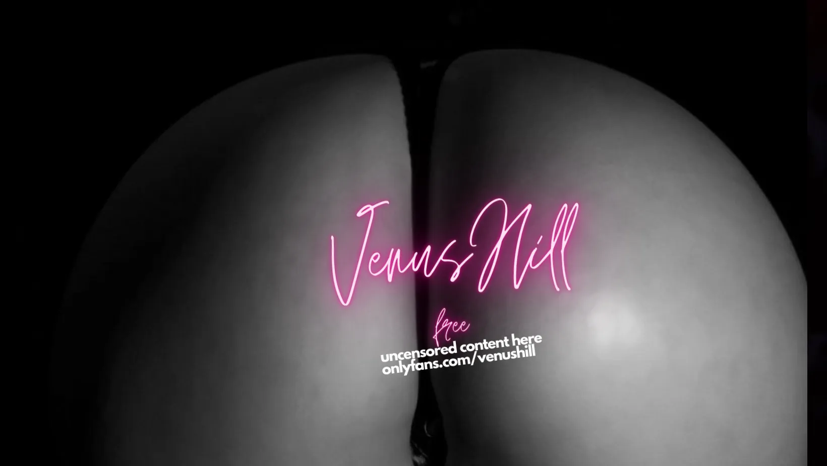 VenusHill2.0 cover