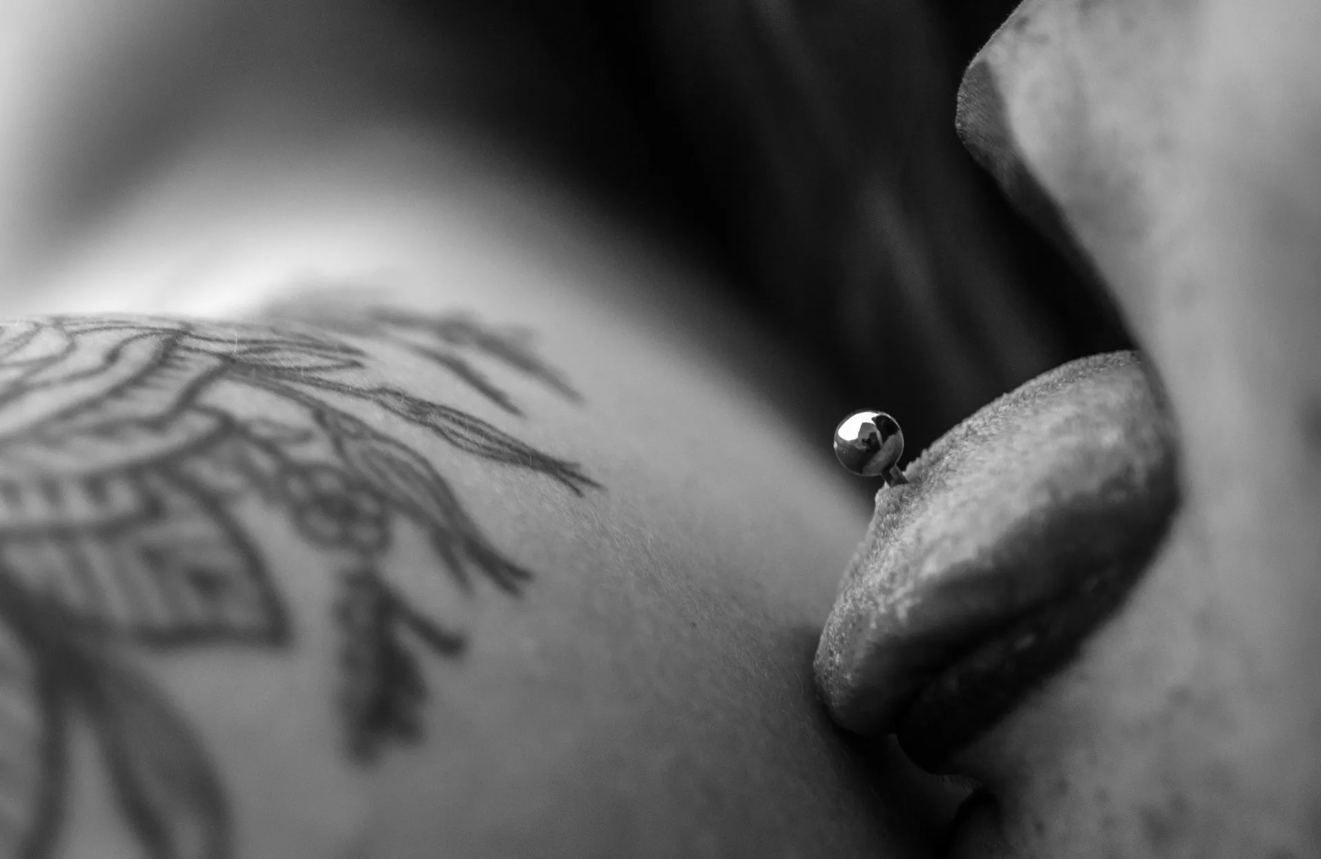 Venusina XXL OnlyFans header